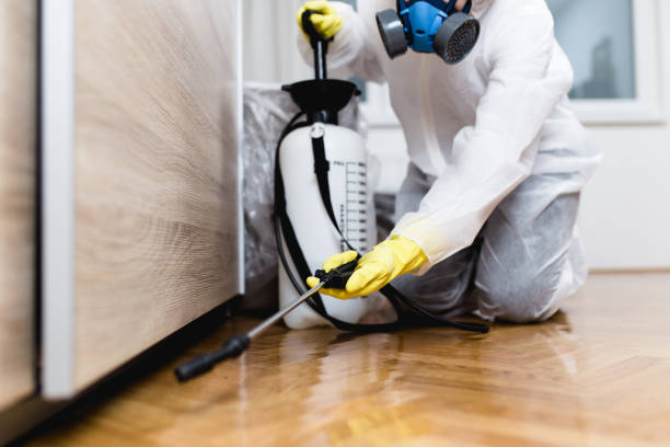 Best Affordable Pest Control Services  in Progress Village, FL
