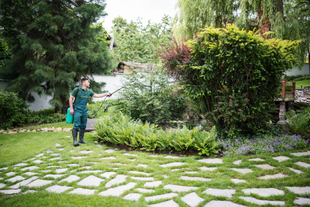 Best Best Pest Control Companies  in Progress Village, FL
