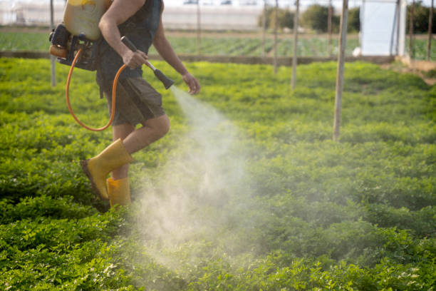 Best Affordable Pest Control Services  in Progress Village, FL
