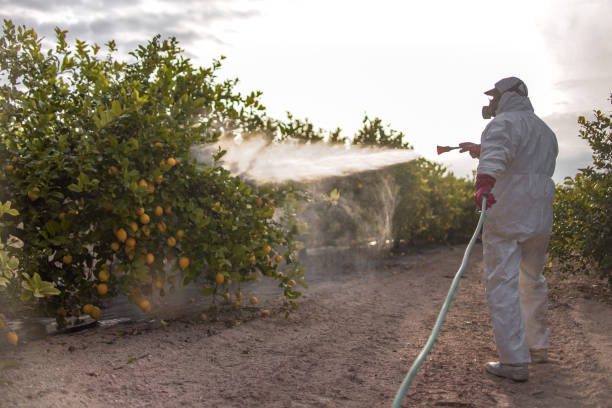 Best Local Pest Control Services  in Progress Village, FL