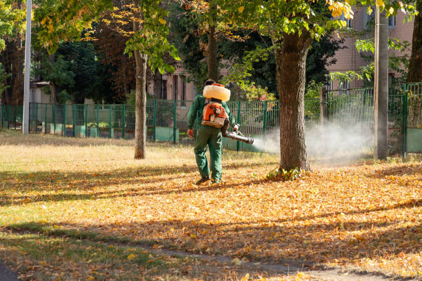 Best Wasp Removal Services  in Progress Village, FL