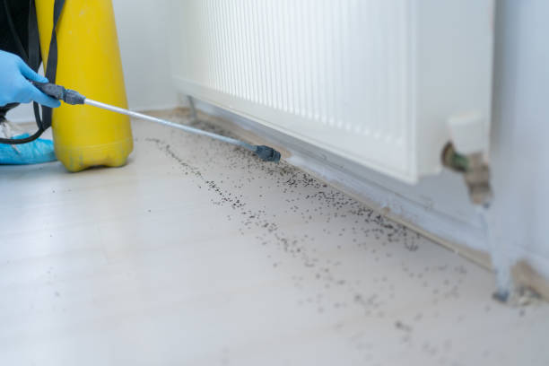 Best Exterminator Services  in Progress Village, FL